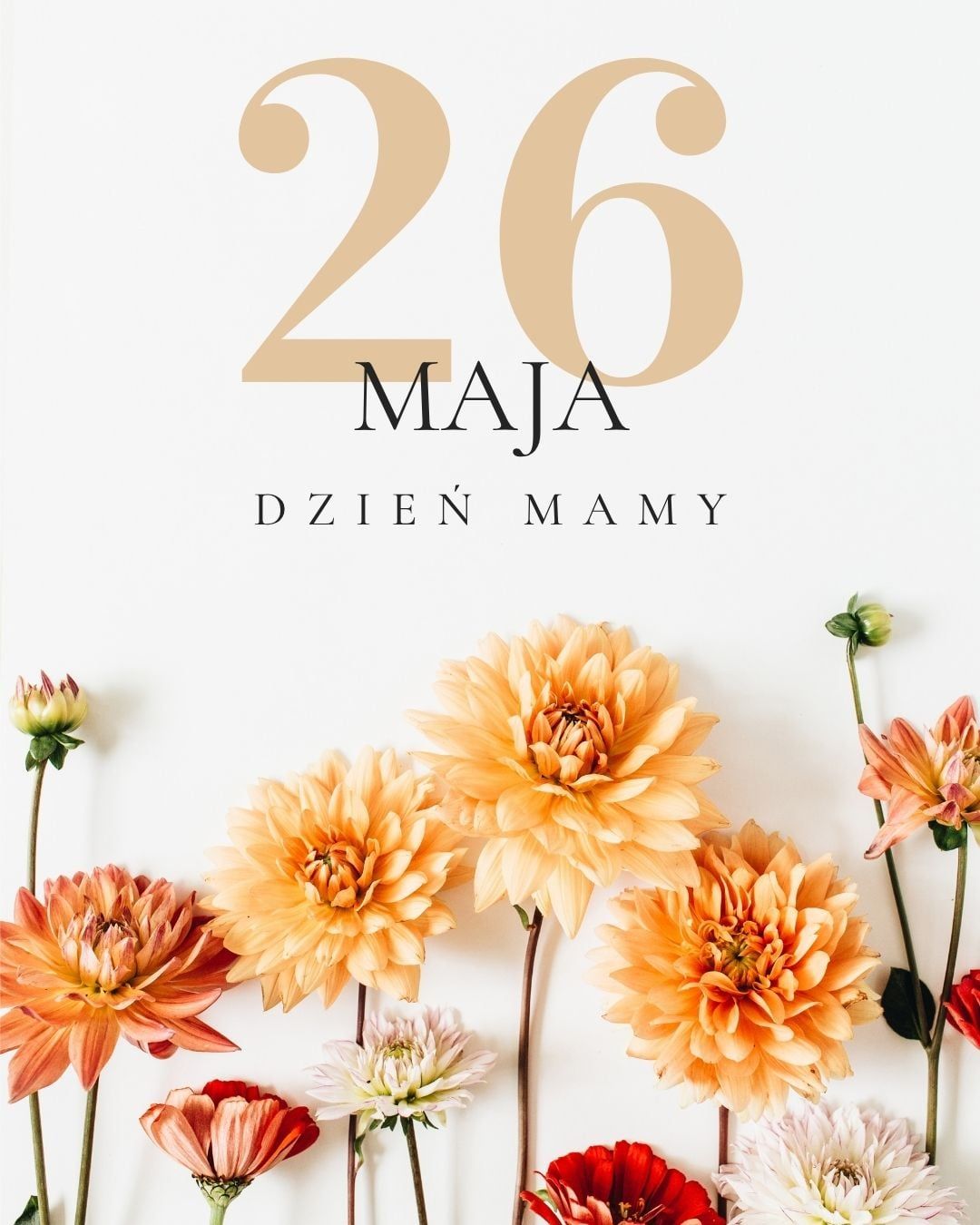 26 Maja – Dzień Mamy