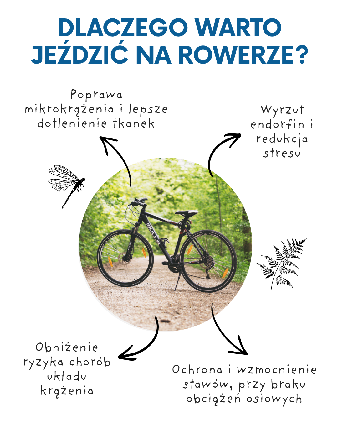 Dlaczego warto jeździć na rowerze? Poznaj zalety tej aktywności fizycznej